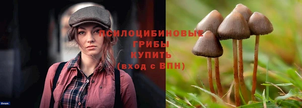 mdpv Богородицк