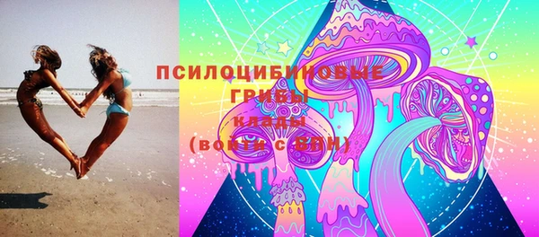 стаф Беломорск
