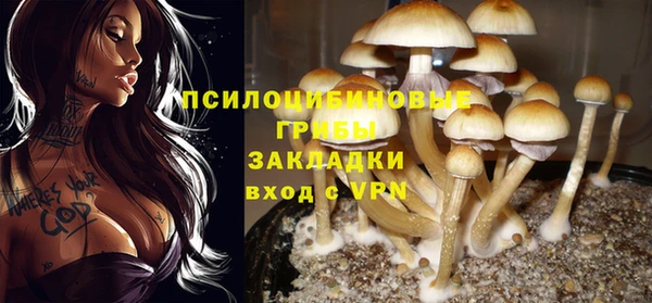 МДПВ Белоозёрский
