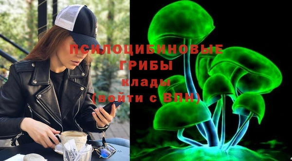 гидра Белокуриха