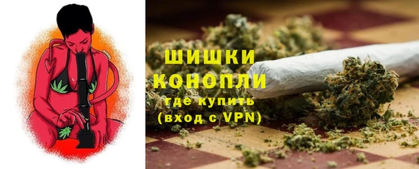 стаф Беломорск