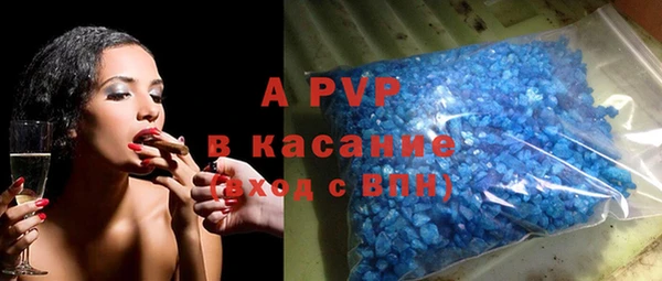 дживик Богданович