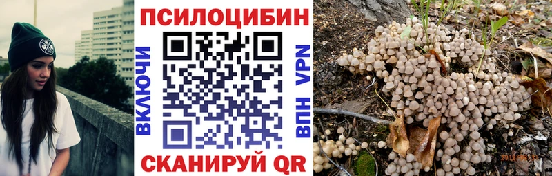 Галлюциногенные грибы Psilocybine cubensis  Котлас 